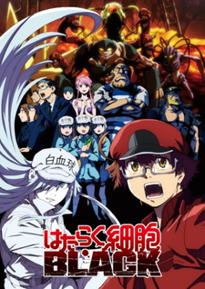 Hataraku Saibou Black